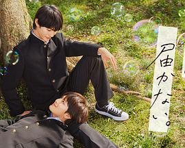 广州网站快照优化案例